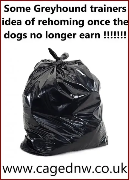 1900521 690670151041123 7754990121387170441 o