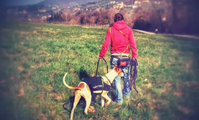 1902980 10202751797667395 1059191139 n