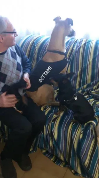 1903983 270868889748304 927959940 n1