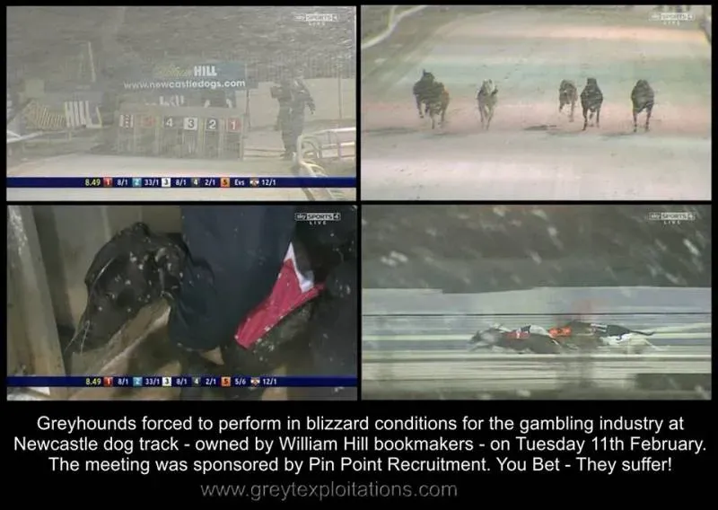 1904010 638292676223901 3376160 n1