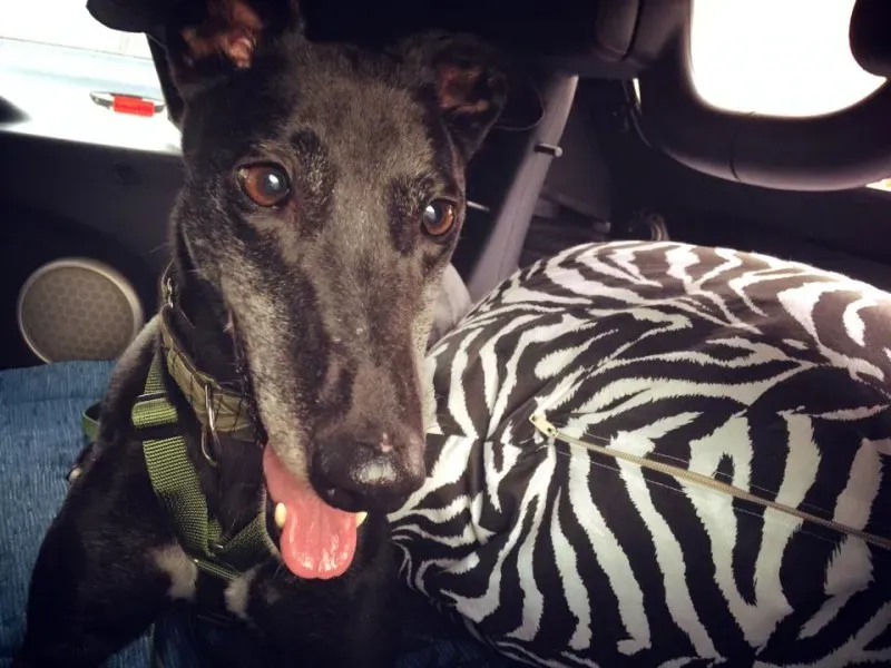 1904193 862724907078898 2635442308328123477 n