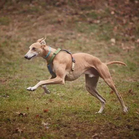 19059263 10213115453059878 5969122715776476507 n