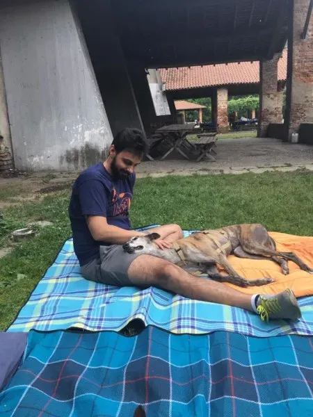 19059634 1104729116337125 1526230975304210701 n