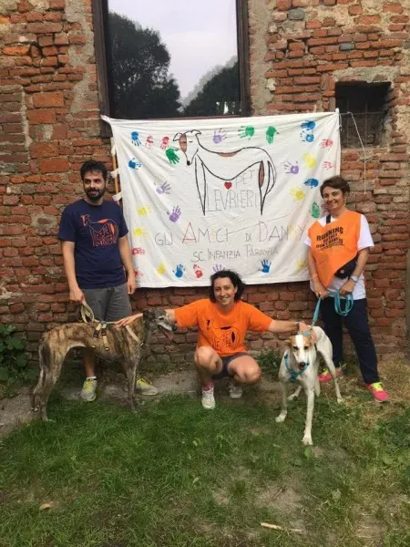 19059731 1104729073003796 1983078776503711955 n