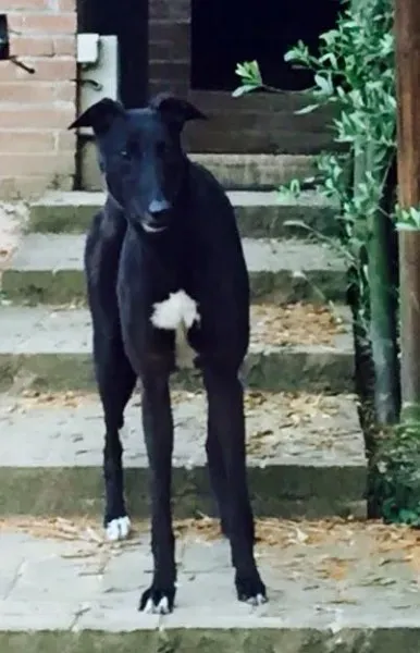 1907486 10205242220067460 8984848999356616581 n