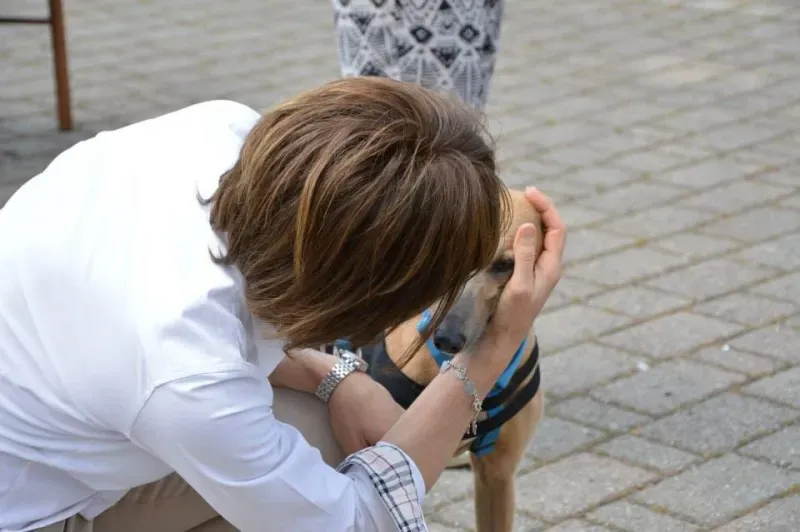 1907647 644861505605456 2500625498601089549 n