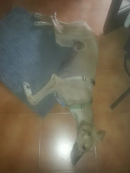 1907662 10204095053444912 1600528328918878421 n