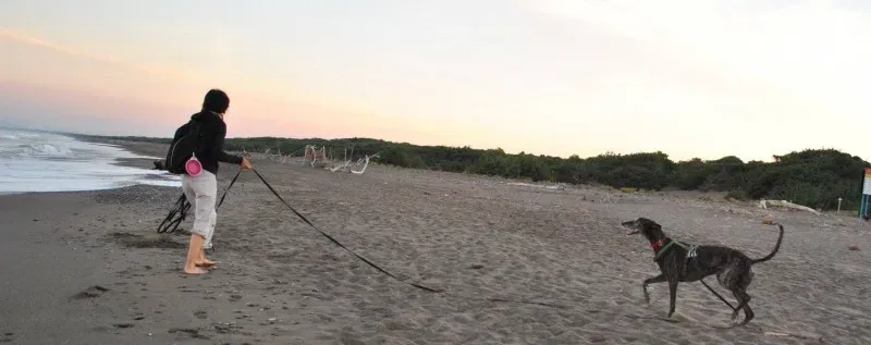 1907900 754100177989552 2318563614441479373 o