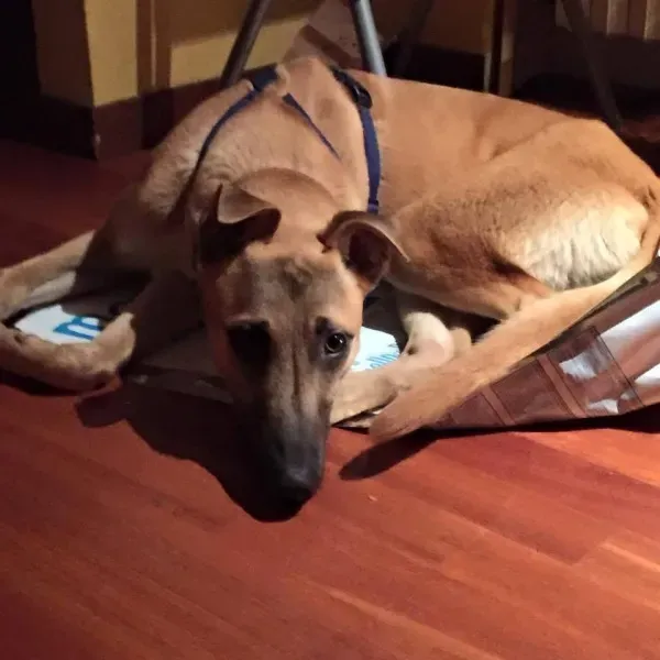 1907930 764956503588207 2810891877721140588 n