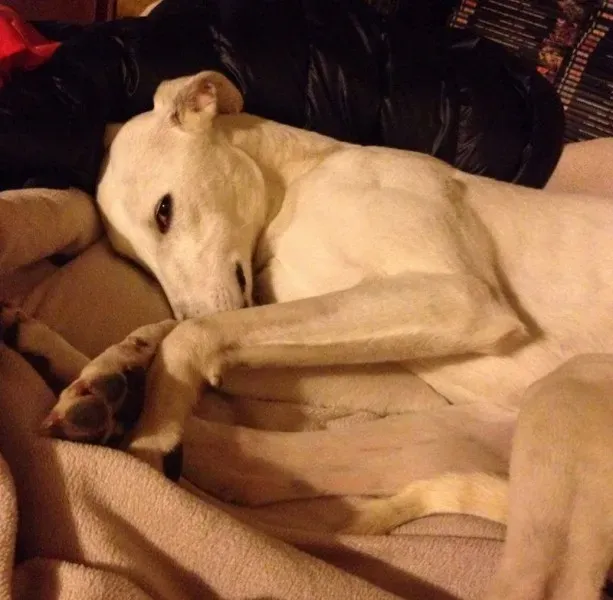 1907977 10203792931772598 7585422464523331122 n