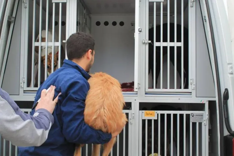 1908188 1014947905189575 3770366839194665205 n