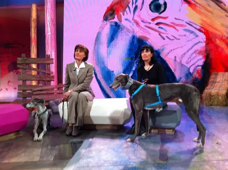 1908264 1391999587689139 9088006432427229957 n