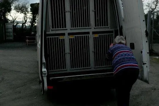 1908329 785502728200251 6082673267001585144 n