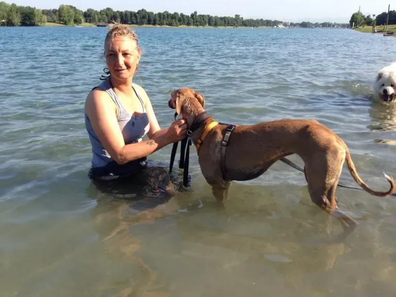 1908349 10203300287540822 1869847079876447126 n