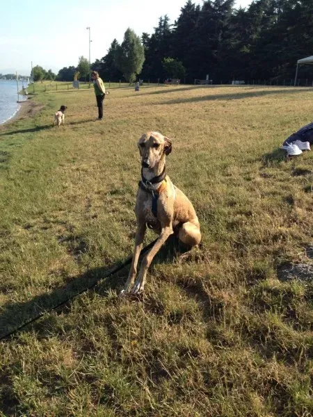 1908349 10203300303981233 586754755782947797 n