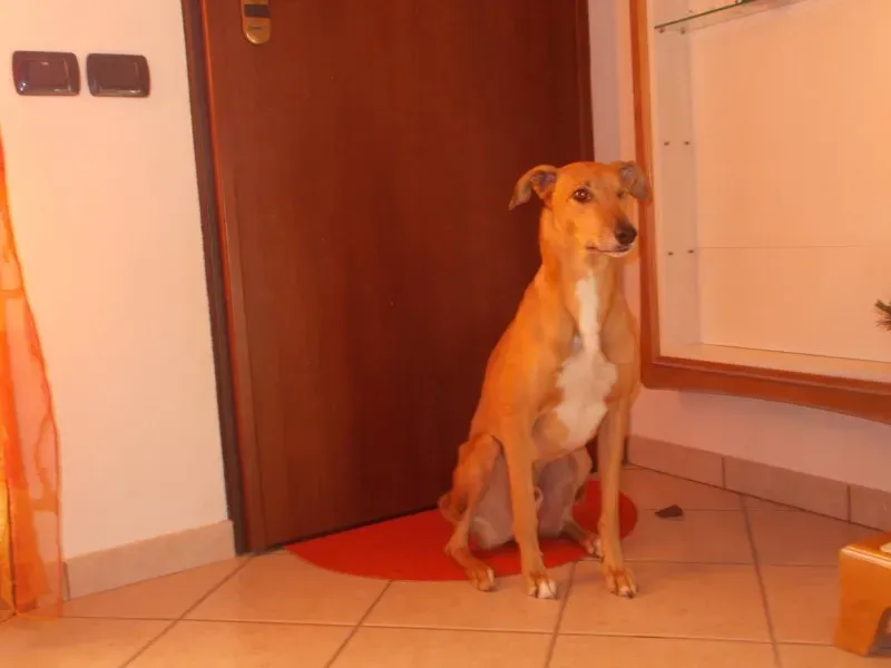 1909432 10202159316544631 4123410706439405464 o