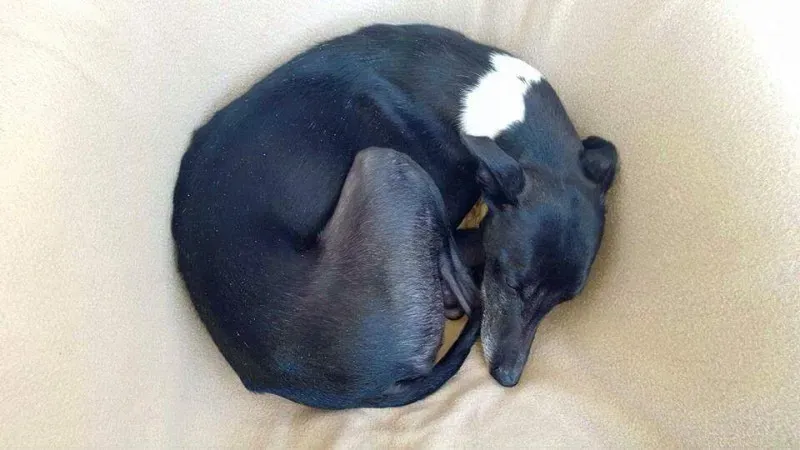 1909562 747943415306551 4333520197719970720 n