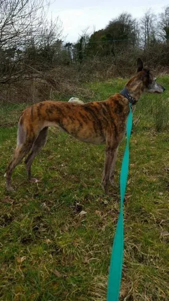 1909587 982592441824611 5417384591254609432 n