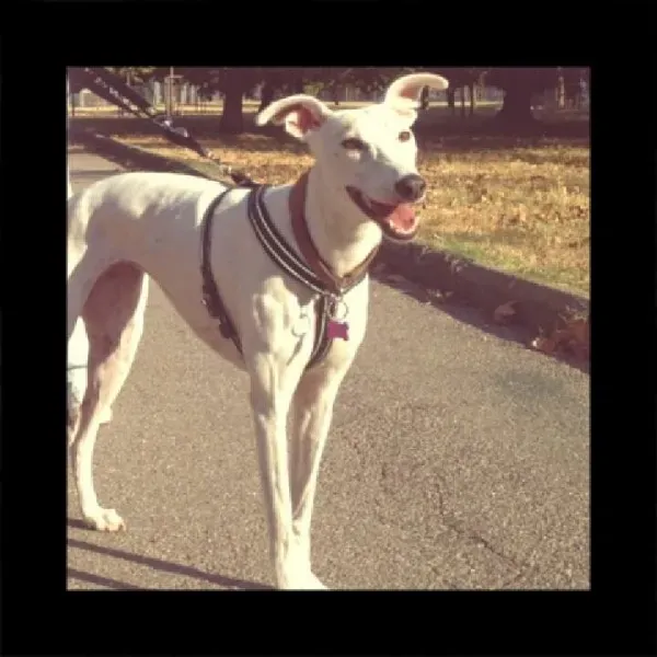 1909747 10209330495608233 4673016428463911015 n