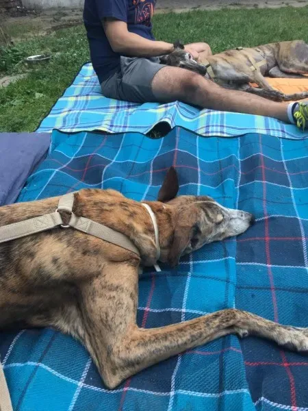 19105906 1104729096337127 3453632874981455417 n