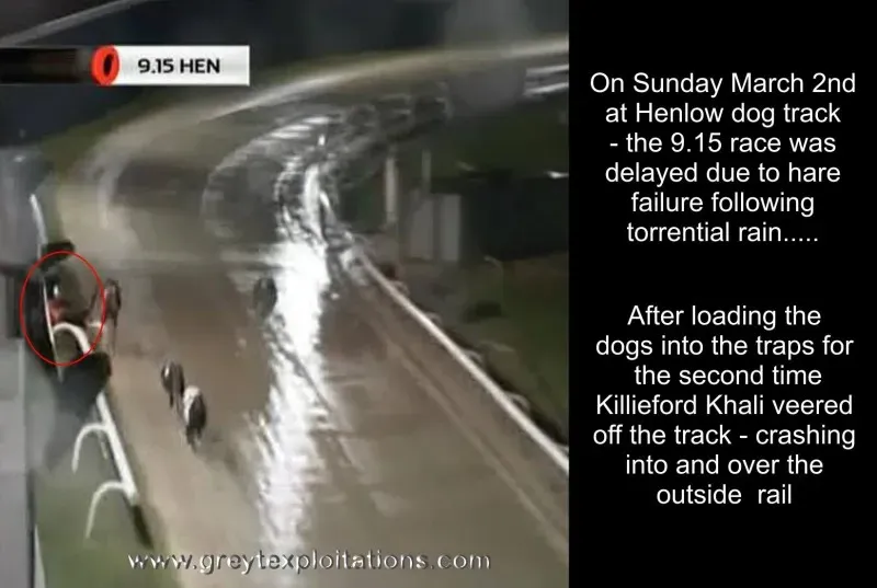 1911255 644572062262629 217920132 o