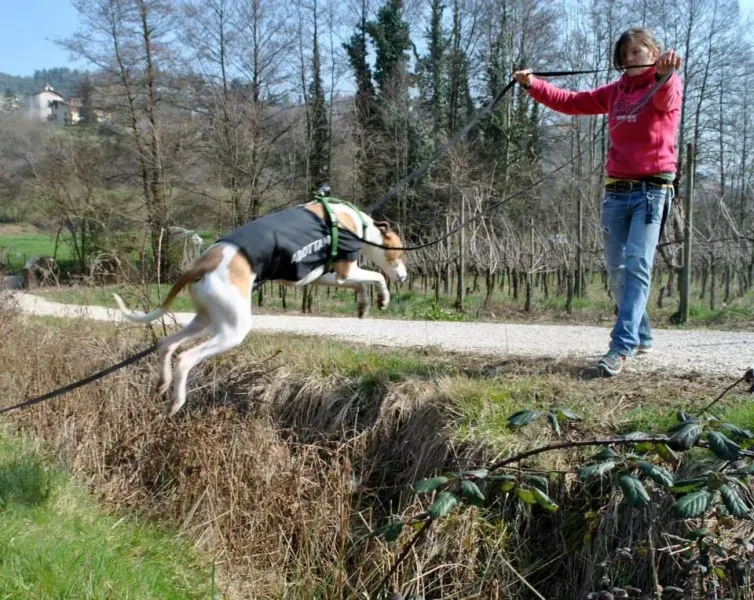 1911757 646145835446592 2126579739 n