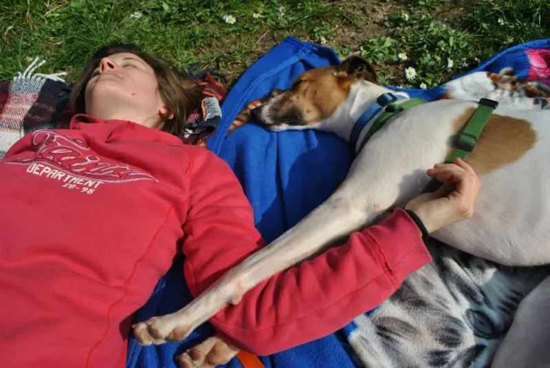 1912210 646146345446541 1240757605 n