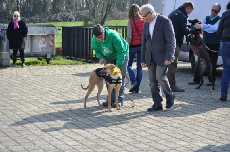 1912502 600992609984598 1974156043 n1