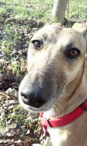 1912516 1028559113828039 5905898440306379884 n