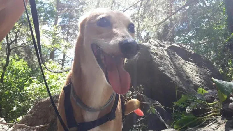 1914098 575319689305747 722460376469976596 n