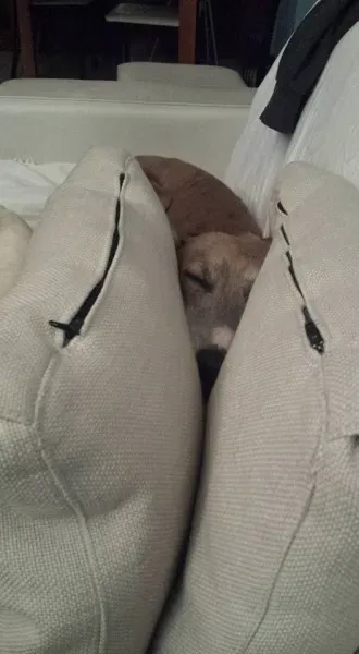 1914543 10208781036913600 3800351625708818410 n