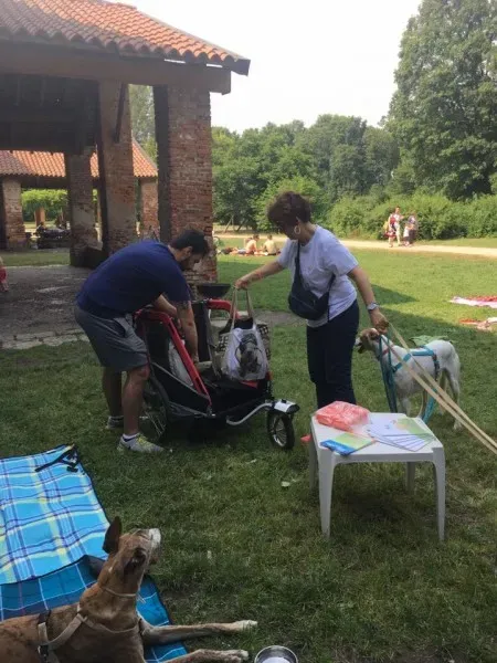 19145724 1104729199670450 8243480425971304200 n