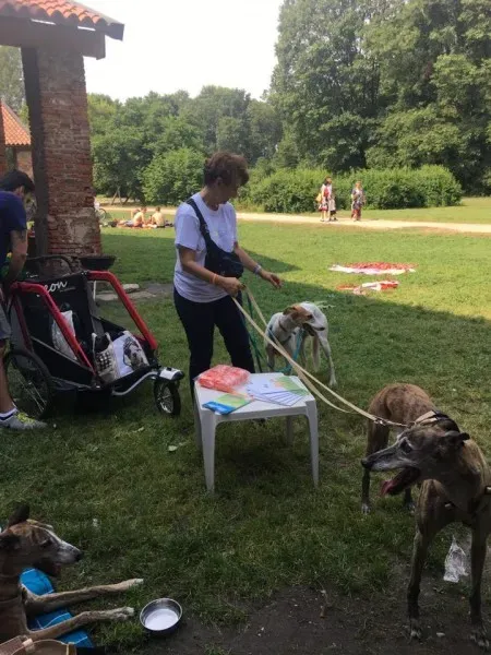 19145730 1104729163003787 8225662906474135322 n