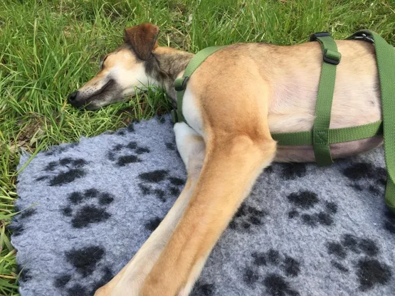 1914640 10209180443652235 214306512982430419 n