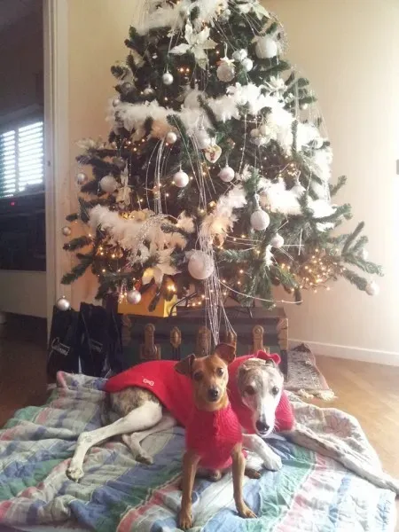 1914942 10207146289168022 4703203128071602490 n