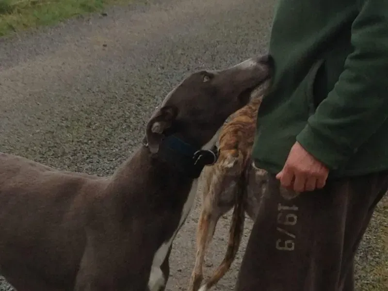 1915216 980401325377056 6063743675613439148 n