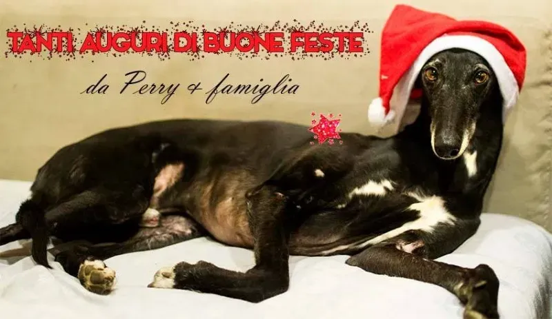 1915522 475687699284112 1195222467676315141 n