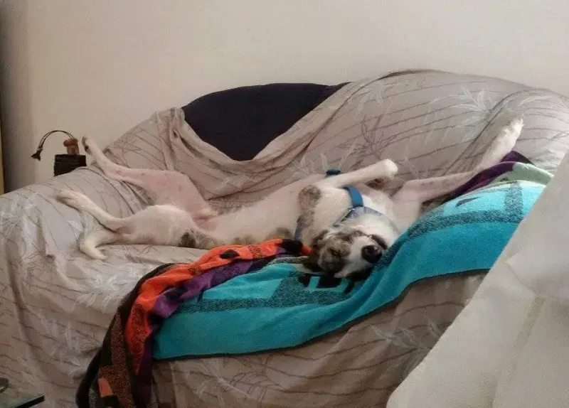 1915997 986328551451000 5576756017335201026 n