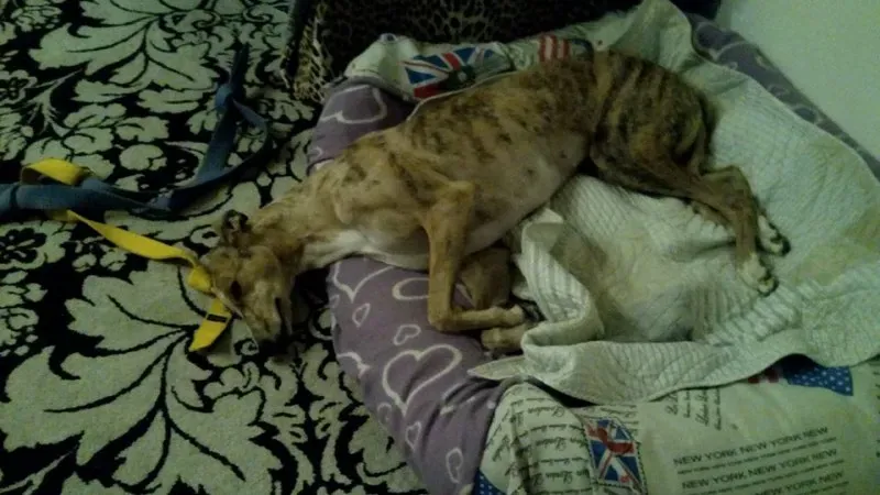 1916229 209484222745672 8455008909943055629 n