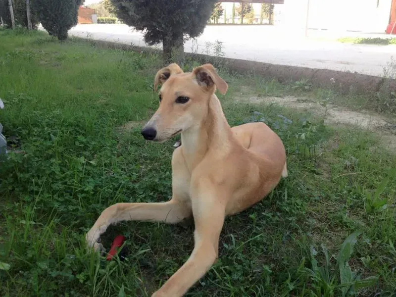 1916348 1742843762601853 1240733531178690821 n