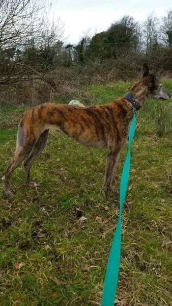 1917052 982592445157944 5743858249760086436 n