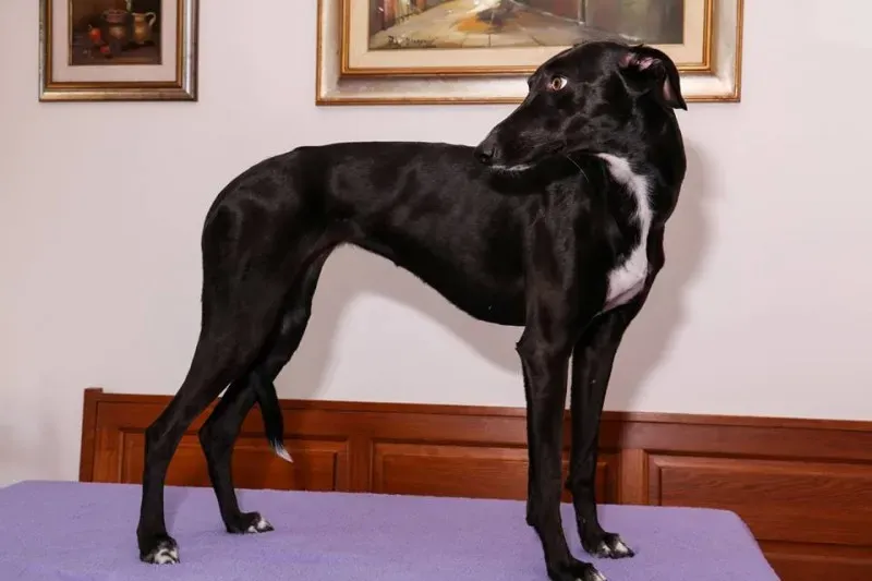 1917519 577113105790546 4280672680833261694 n