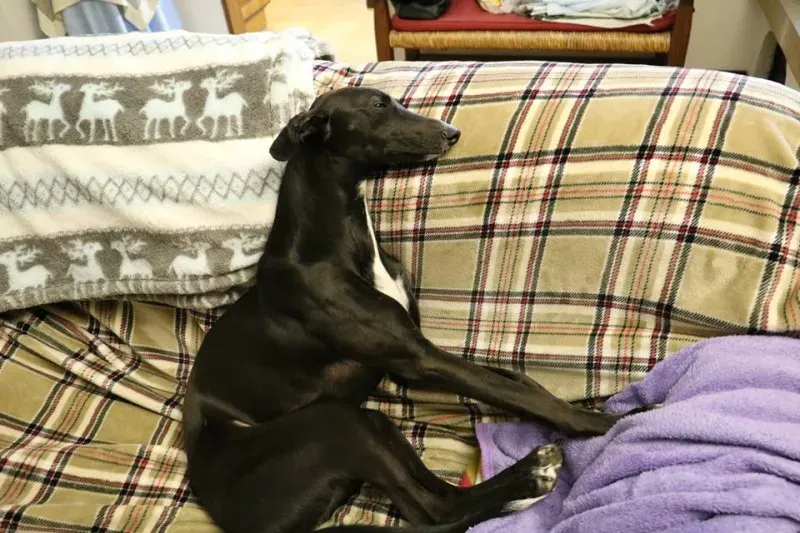 1918366 577113072457216 4918631996119444468 n