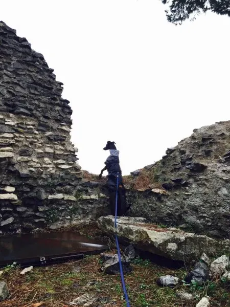 1918455 10153433210617989 7626691824928616999 n