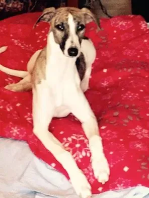 1919385 987847657922990 5473993329937172275 n