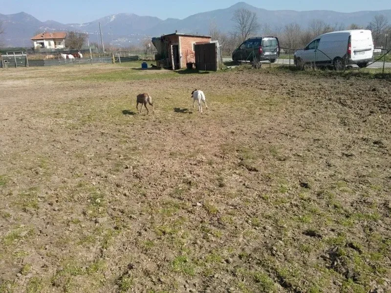 1922312 222077421320381 1155970697 n