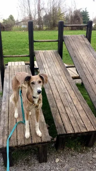 1924124 10208781030393437 3064533380157516867 n