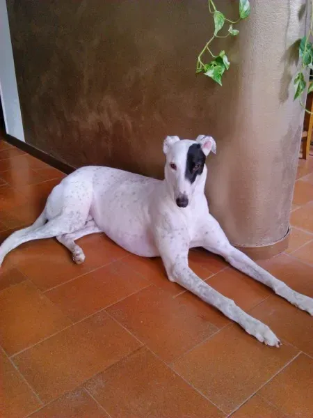 1924960 10200698602186933 1011704003 n