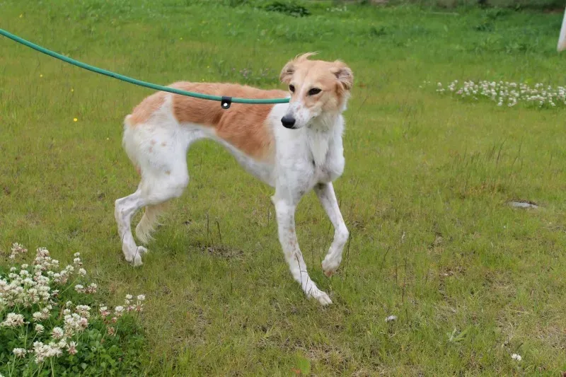 19249917 1349023328514925 872684514 o