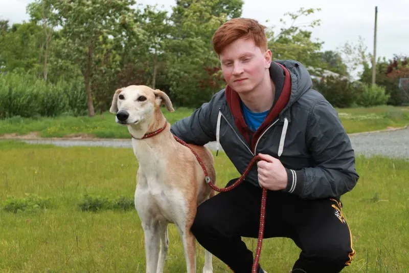 19250111 1349370711813520 173060961 o